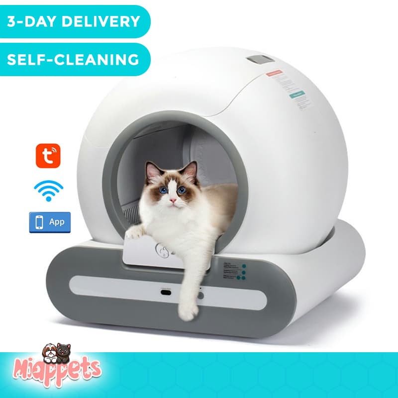 110320261345.jpg__PID:a8bbd16b-c6da-4488-9531-4953a77deb8b