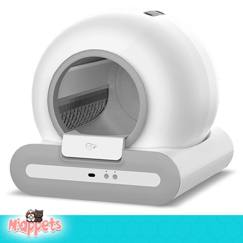 110320261349.png__PID:be8416d6-ebd7-494f-85fe-6cbc38830058